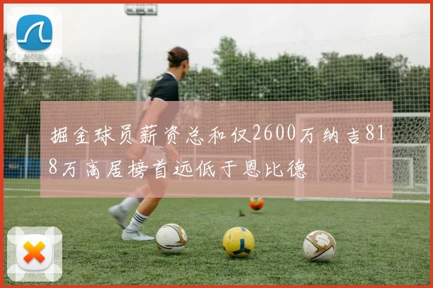 掘金球员薪资总和仅2600万纳吉818万高居榜首远低于恩比德