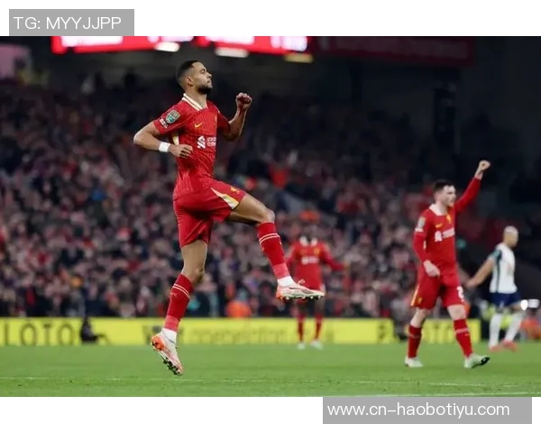 利物浦上赛季表现出色吸引新球员赛季初需耐心等待磨合 利物浦上赛季表现出色吸引新球员赛季初需耐心等待磨合